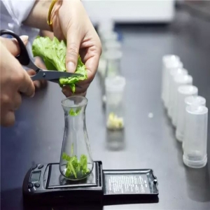 What equipment is required for a general laboratory?